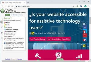 Screenshot of Wave Accessibility Tool for Google Chrome