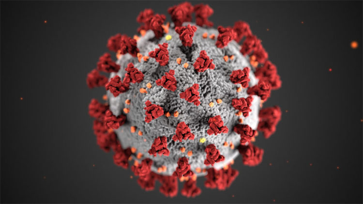 Illustration: Novel Coronavirus