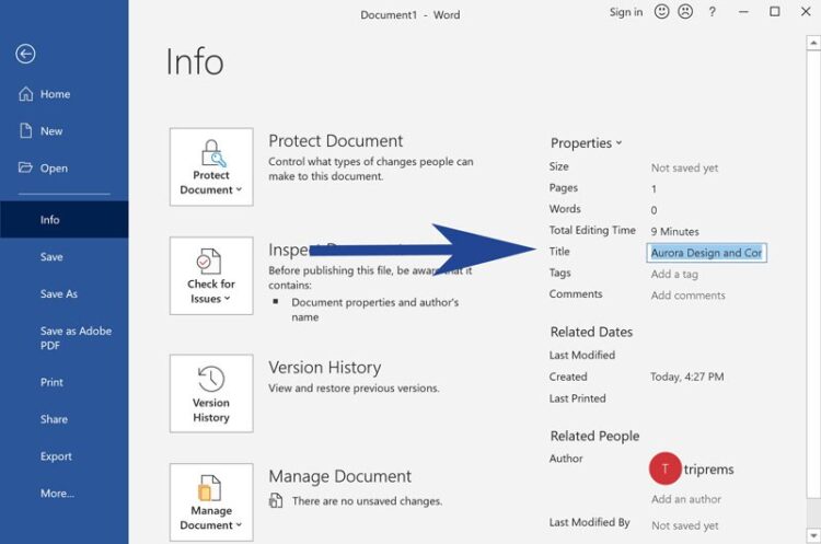 Screenshot of MS Word with File Properties highlighted